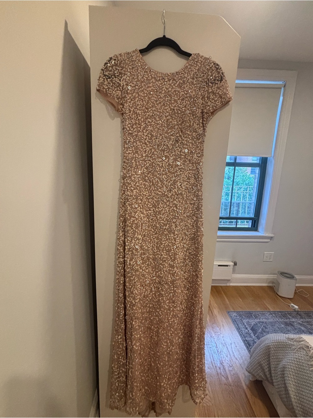 Adrianna Papell Blush Sequin Maxi Dress